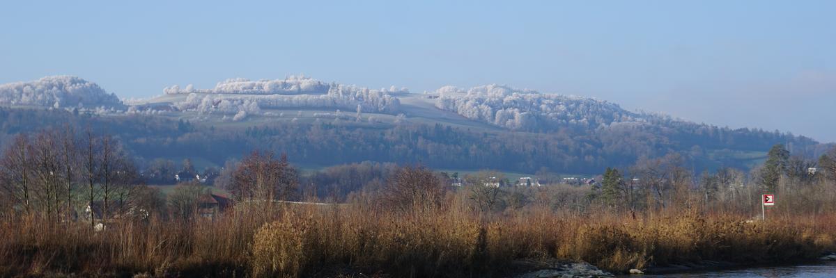 Lübü Gurten Martin