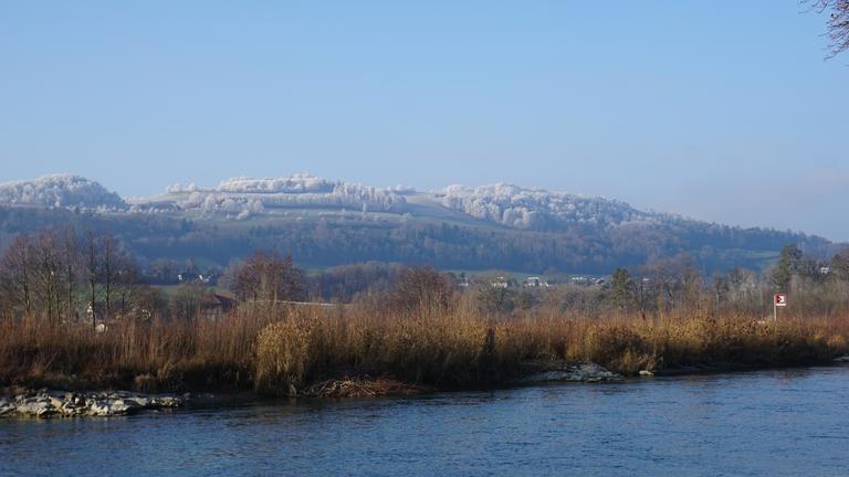 Lübü Gurten Martin
